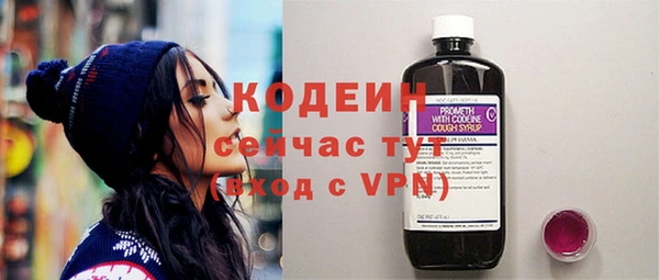 гашик Сосновка